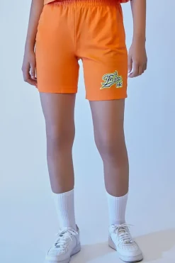 Embroidered Fubu Mesh Shorts
