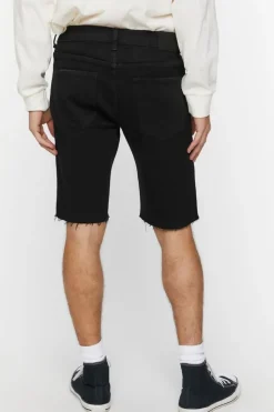 Embroidered Wire & Roses Denim Shorts