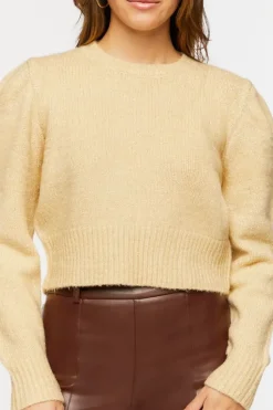 Glitter Knit Ribbed-Trim Sweater