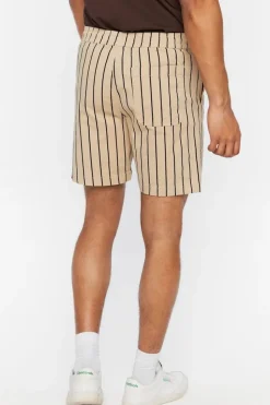 Pinstriped Drawstring Shorts