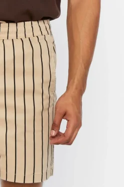Pinstriped Drawstring Shorts