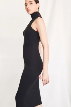 Ribbed Knit Turtleneck Dress
