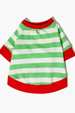 Striped Pet Sweater